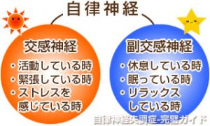 自律神経２