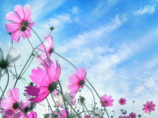 変化を嫌う人の心理